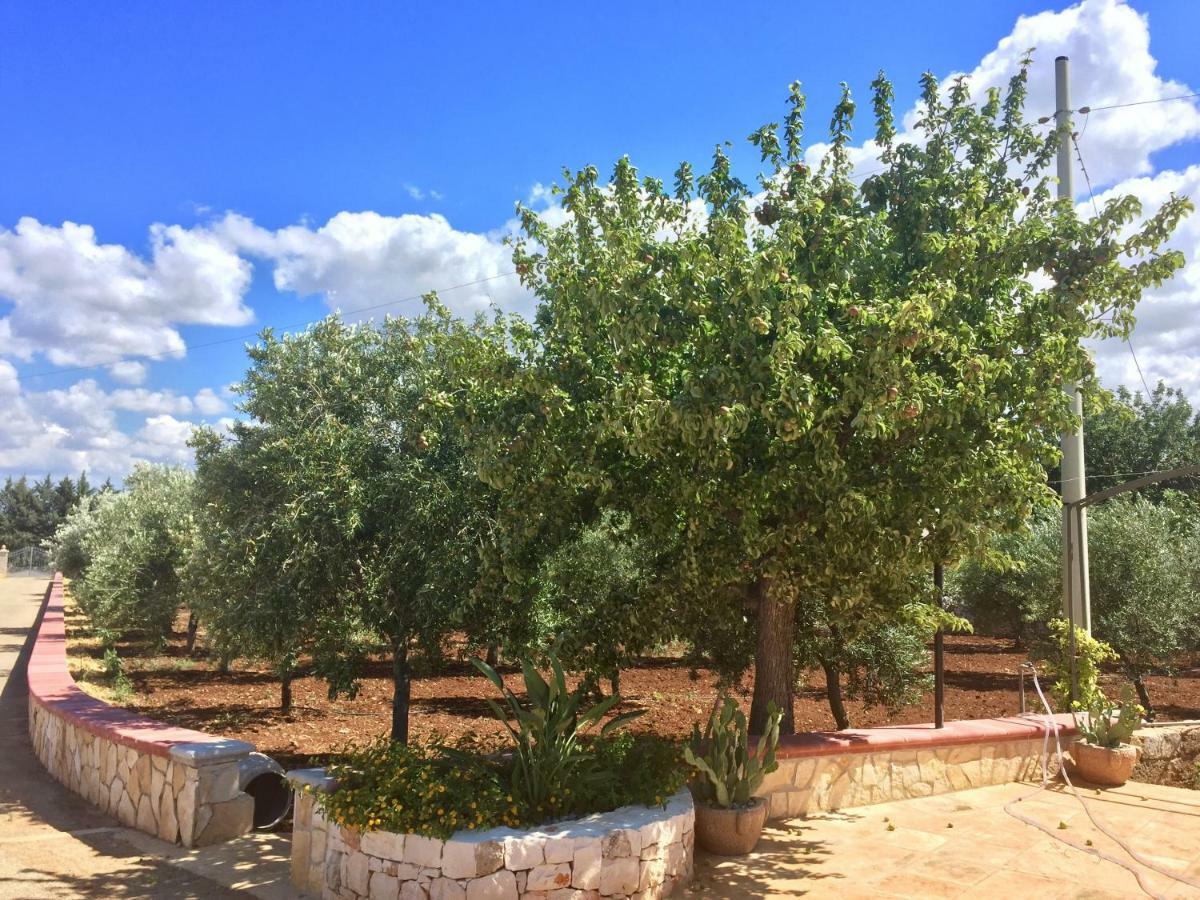 I Trulli Di Gina Appartamento Trullo 6 Persone Monopoli Eksteriør billede